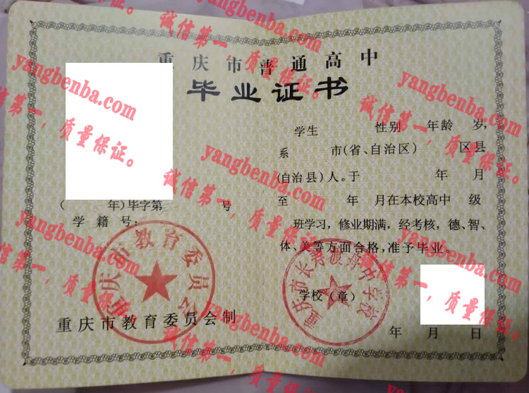 重庆市长寿渡舟中学校毕业证样本