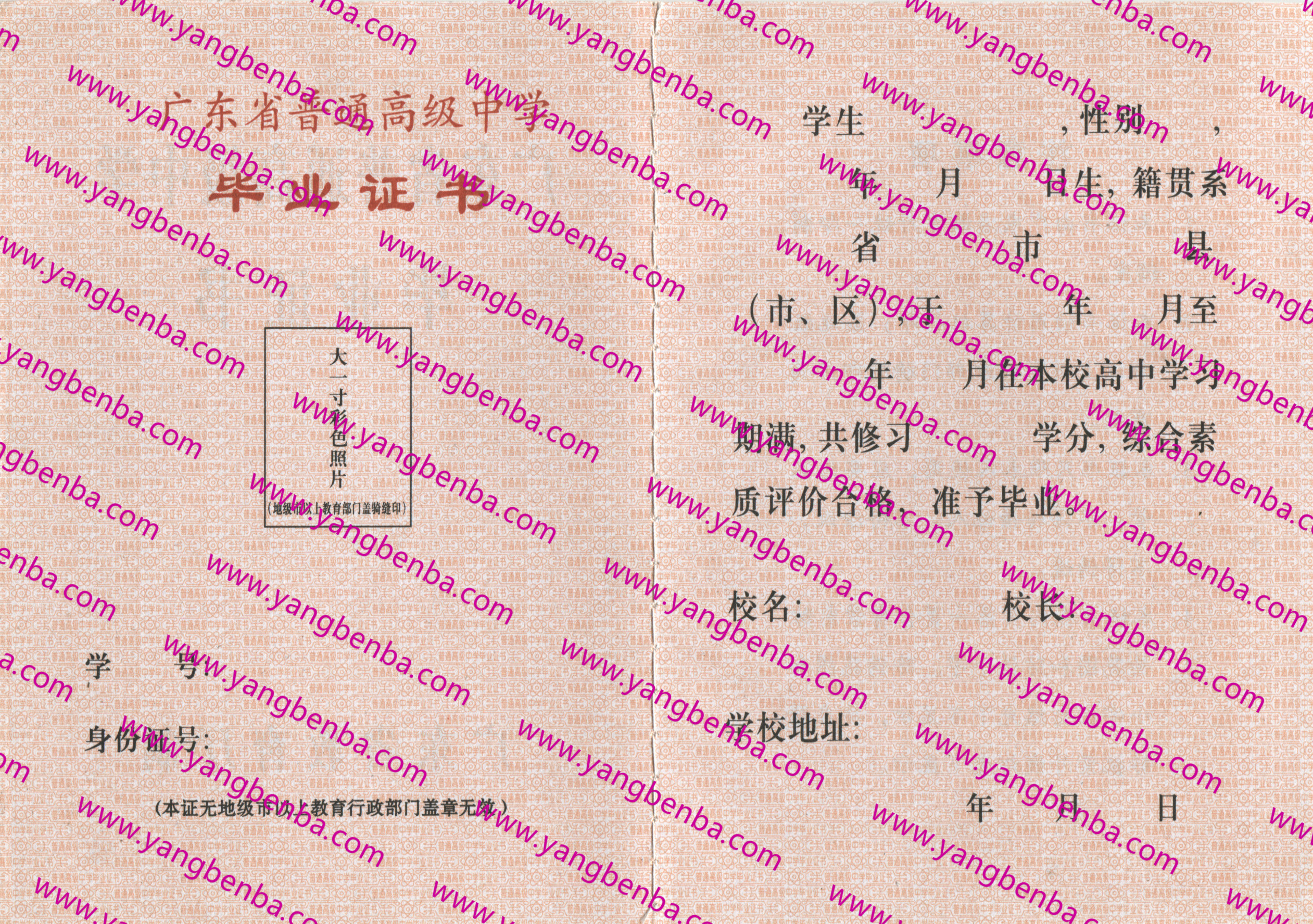广东省高中毕业证样本内页2