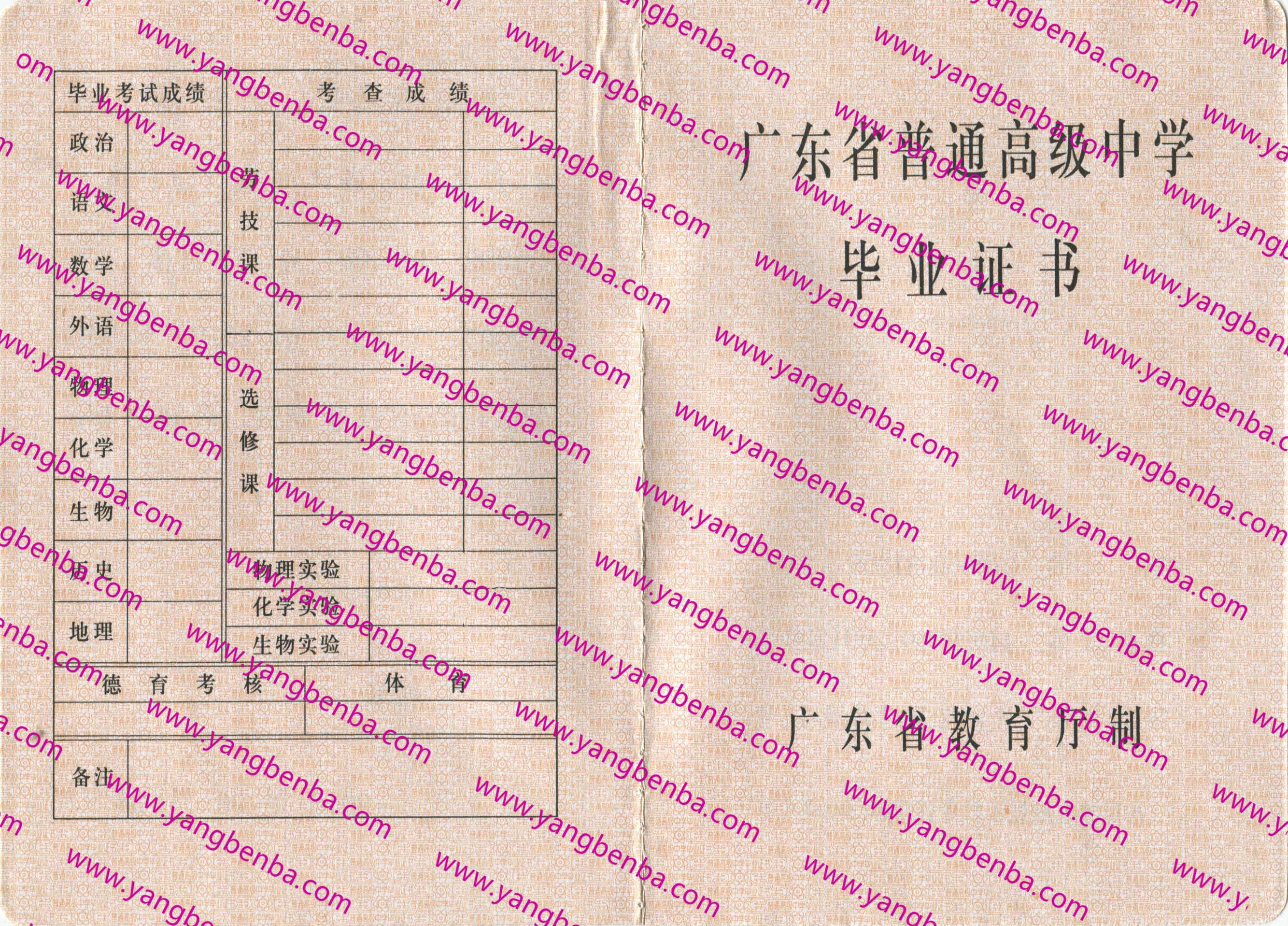 广东省高中毕业证样本内页3