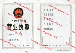 西藏自治区营业执照样本