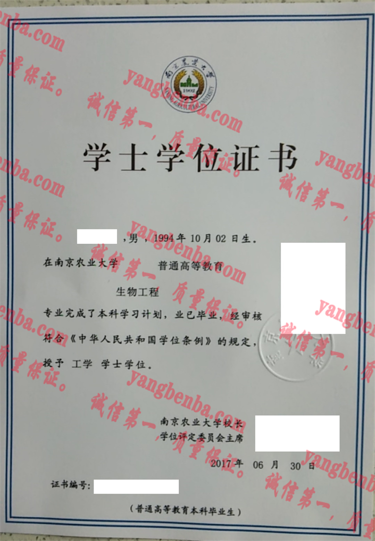 南京农业大学毕业证样本