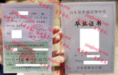 山东省鄄城县实验中学毕业证样本