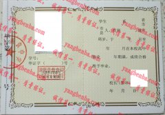 泗阳县新袁中学毕业证样本