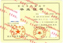 重庆苗族土家族自治县中学校毕业证样本